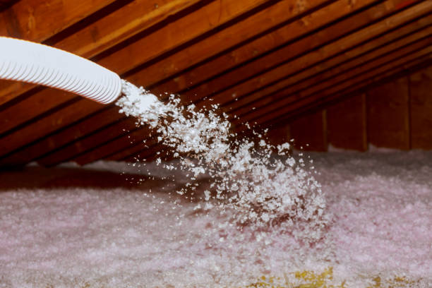 Best Energy Efficiency Solutions in Brandon, MS